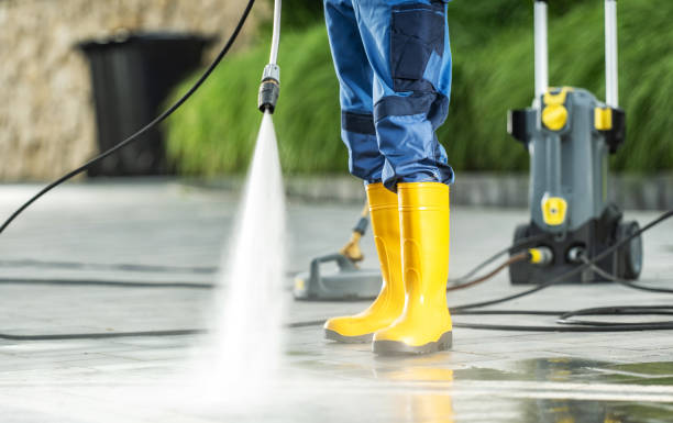 Best Local Pressure Washing Services  in Albany, MN