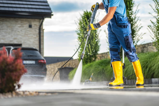 Best Affordable Pressure Washing  in Albany, MN