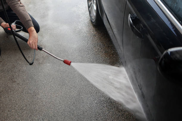 Best Roof Pressure Washing  in Albany, MN